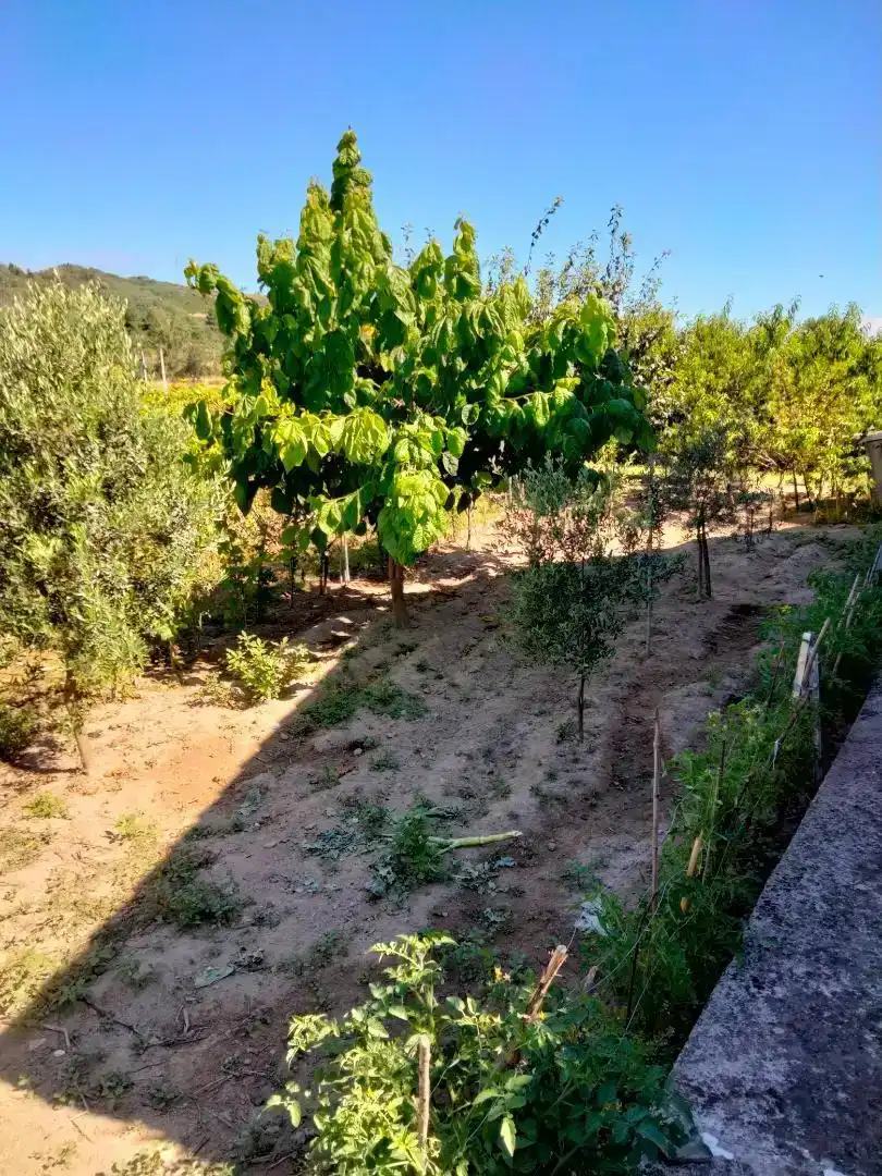 Casa o chalet en venta en Monterrei con Jardín privado, Trastero y Piscina