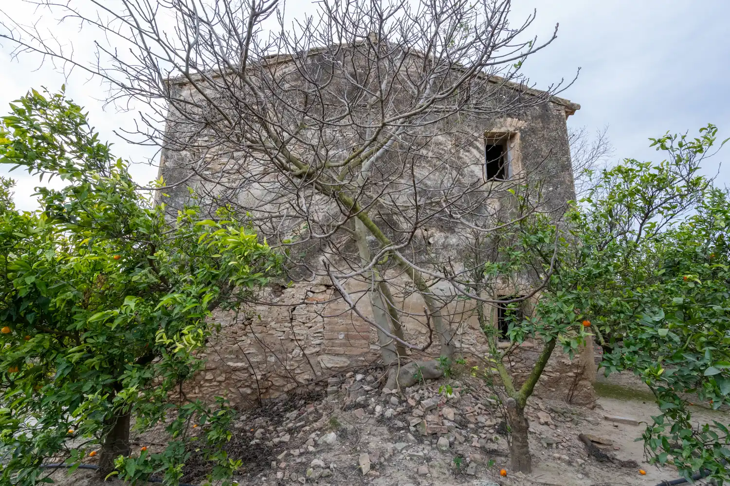 Terrain rustique à vendre à Partida Sant Bernabe 466, imagen 4