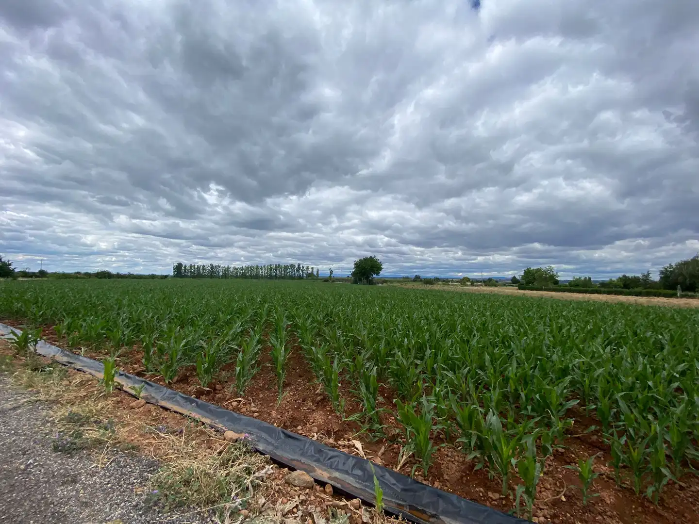 Xalet en venda a Pj Chana de Abajo, imagen 4
