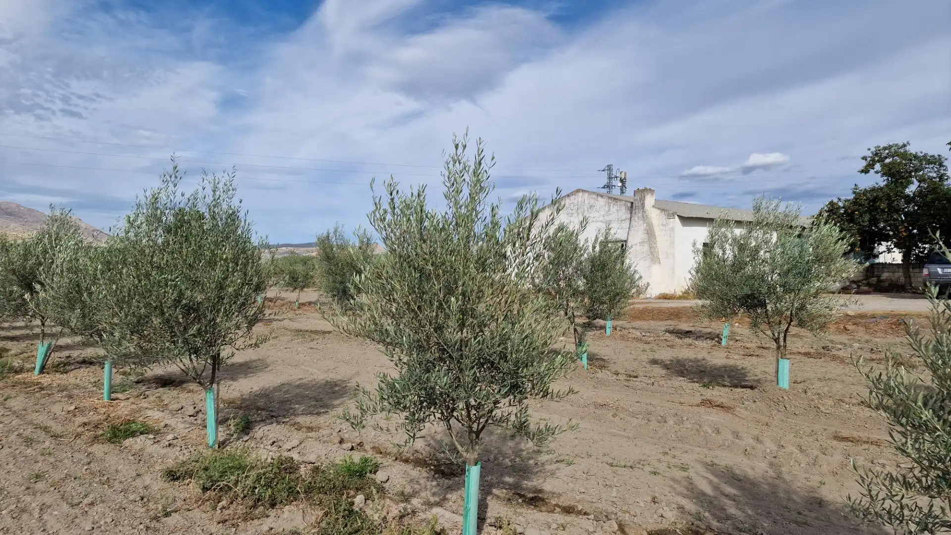 Terreno en venta en Santa Fe