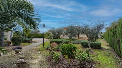 Foto 2 de Finca rústica en venta en Carretera Villamanrique,la Vereda 27, Pilas, Sevilla