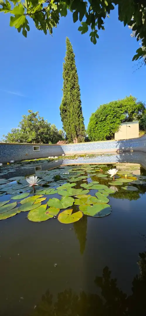 Jardín de Finca rústica en venta en El Perelló con Calefacción, Jardín privado y Terraza