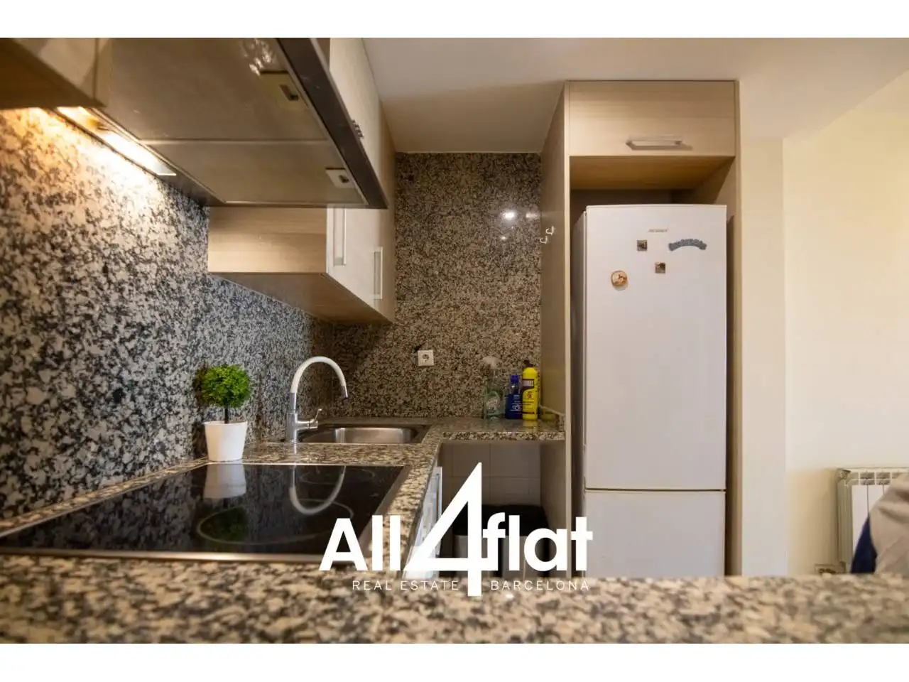 Cocina de Piso de alquiler en Barcelona con Parquet, Terraza y Amueblado