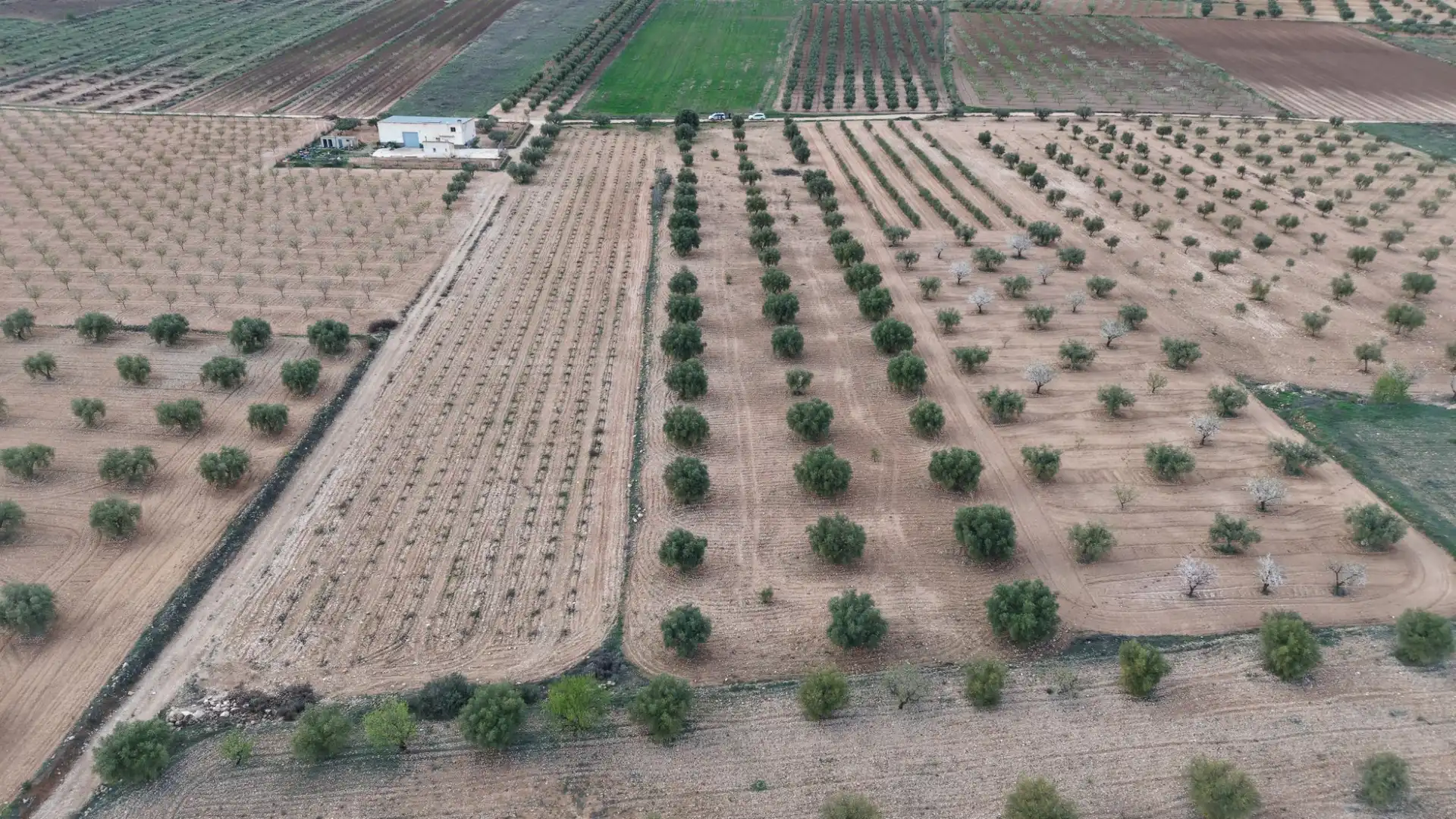 Terreny residencial en venda a Jumilla, imagen 8