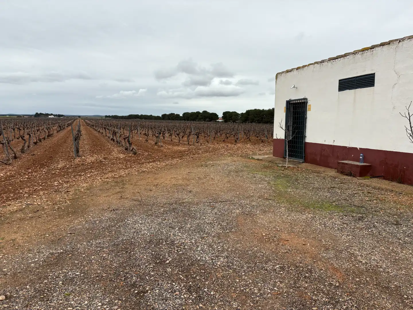 Terreno rústico en venta en Camino de Tomelloso a Villarrobledo 562, imagen 6