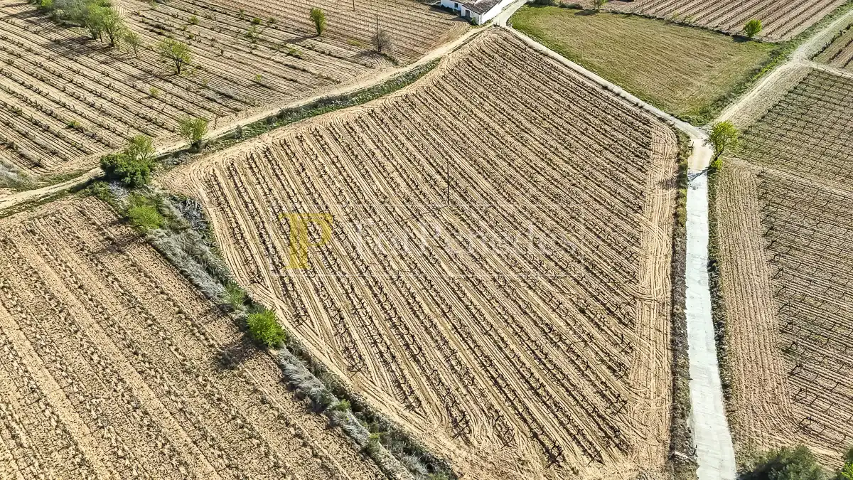 Terreny residencial en venda a Carrer de les Vinyes, imagen 7