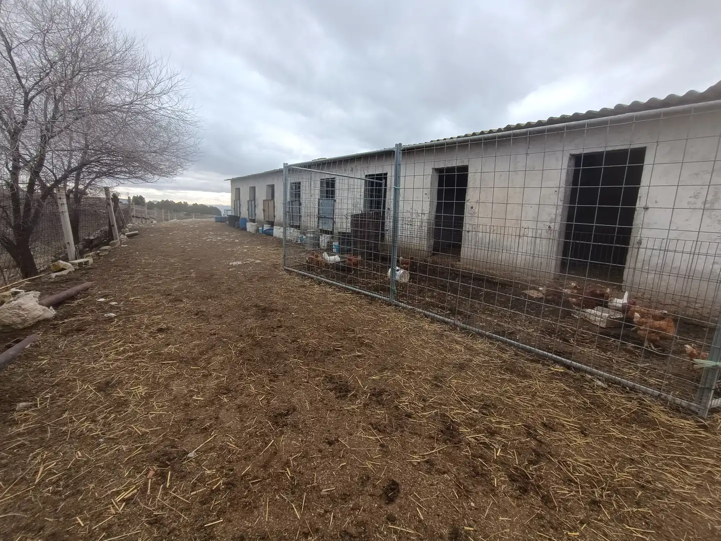 Vista exterior de Terreno en venta en Añover de Tajo