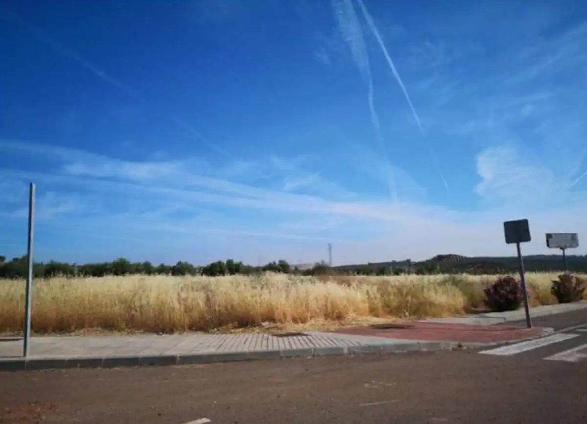 Terreno industrial en venta en Carboneros