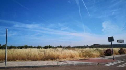 Foto 4 de Terreno industrial en venta en Carboneros, Jaén