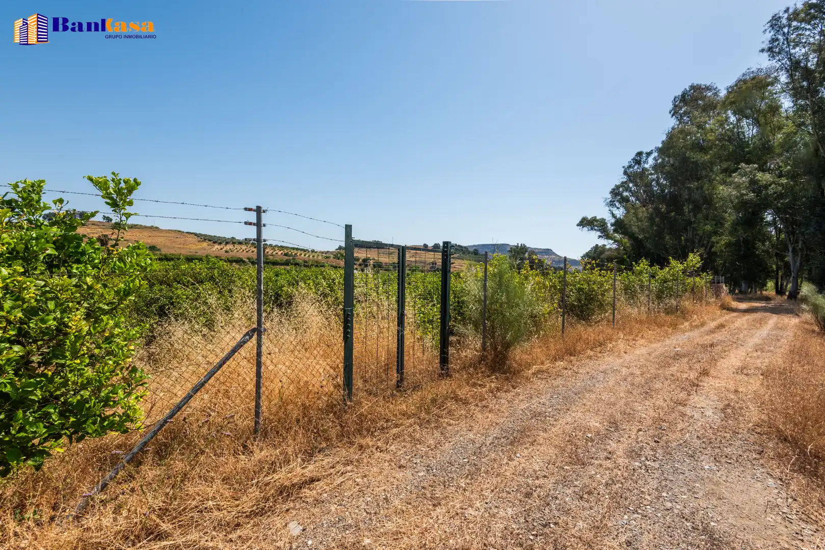 Terreno en venta en Pizarra