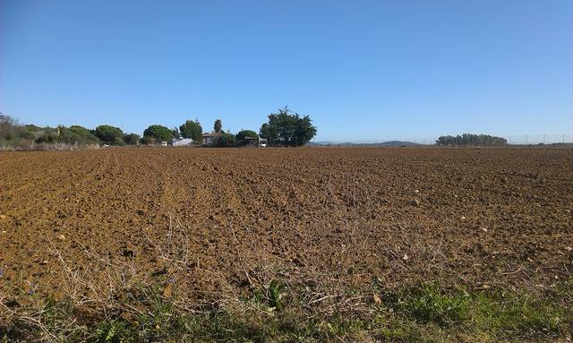 Terreno en Venta en Carretera del Marquesado en Los Franceses – La Vega