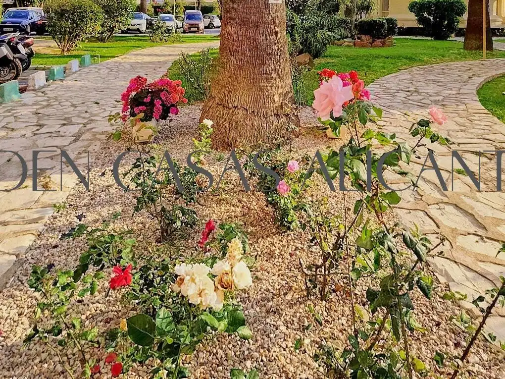 Garten von Wohnungen zum Verkauf in Alicante / Alacant mit Klimaanlage, Heizung und Privatgarten