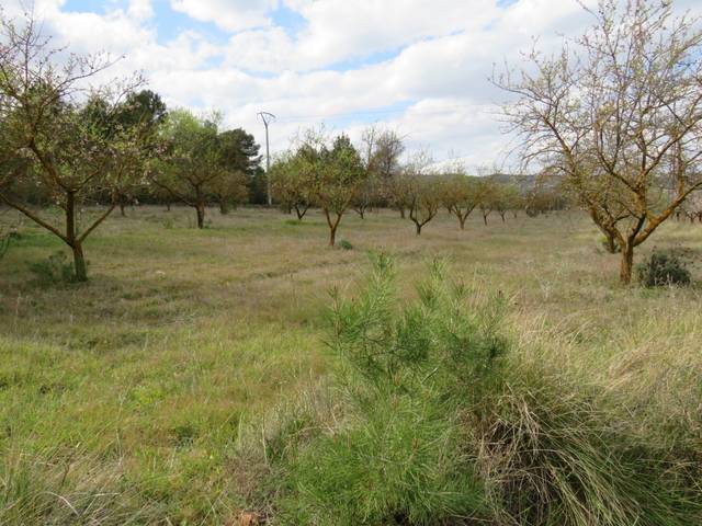 Terreno residencial en Venta en Bocairent