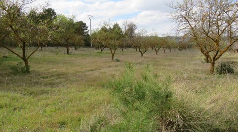 CONJUNTO DE PARCELAS A LA VENTA EN BOCAIRENT