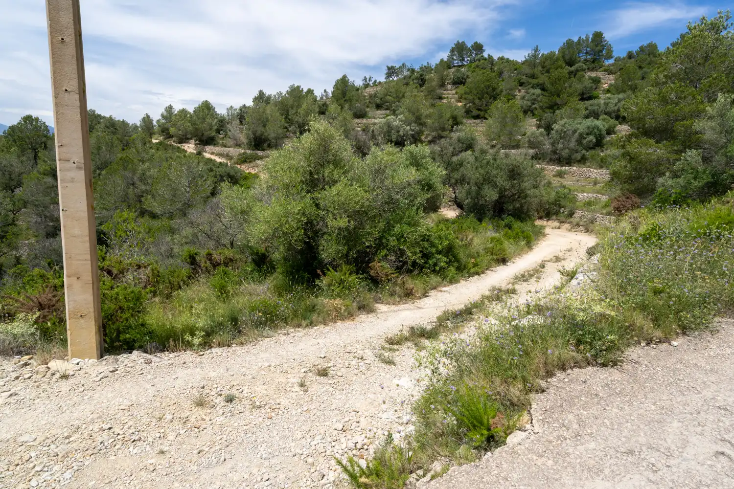 Terrain rustique à vendre à Camí dels Corrals de la Riba 9, imagen 3
