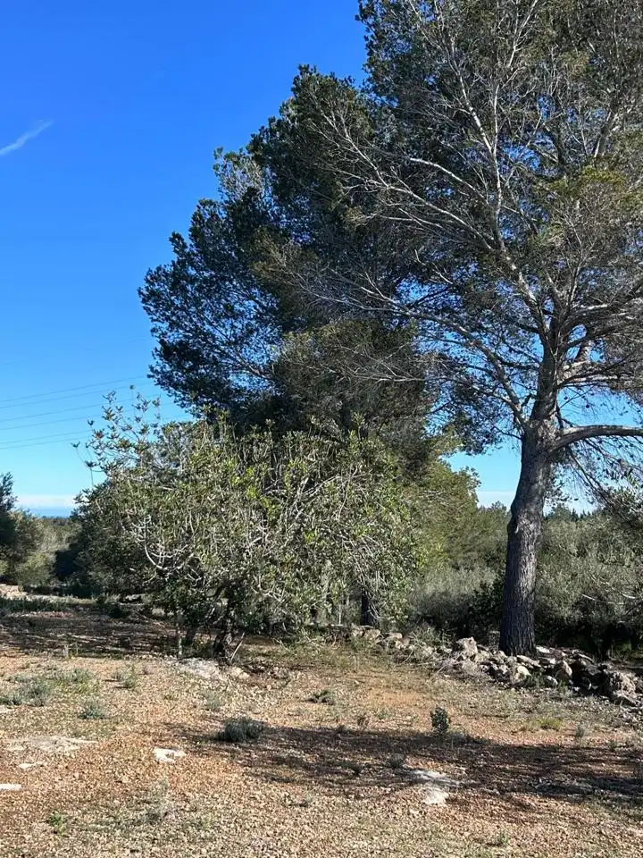 Landhaus zum Verkauf in Partida Serramoca, imagen 20