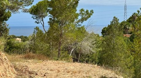 Dos parcelas urbanas exclusivas en Altea, imatge 4