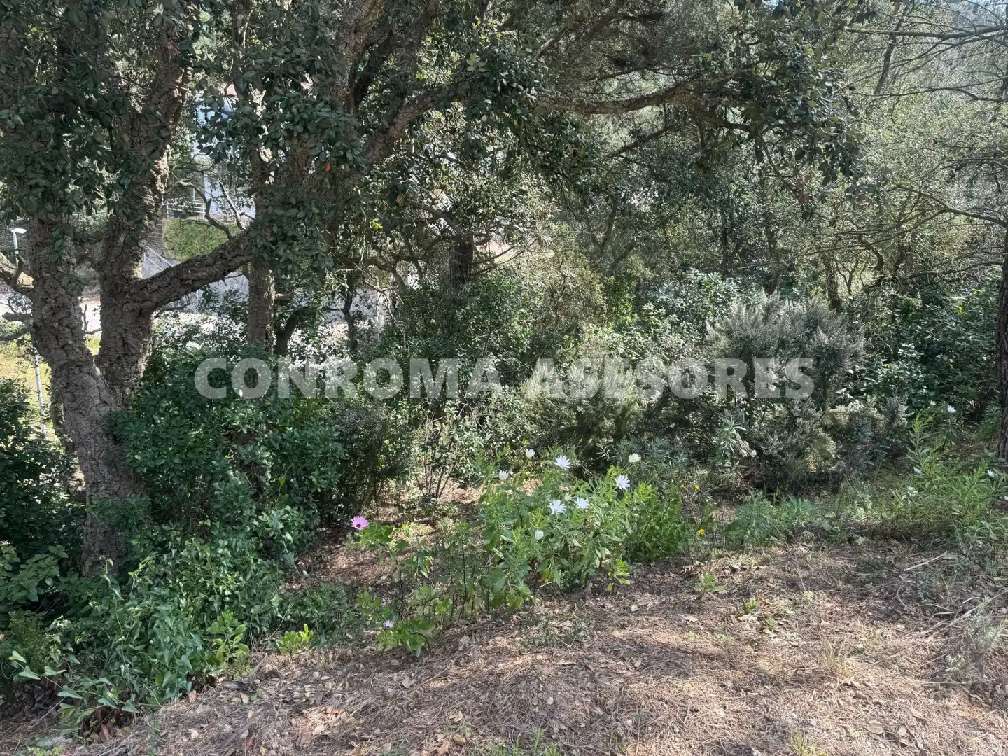 Residential land for sale in Serra Brava, imagen 7