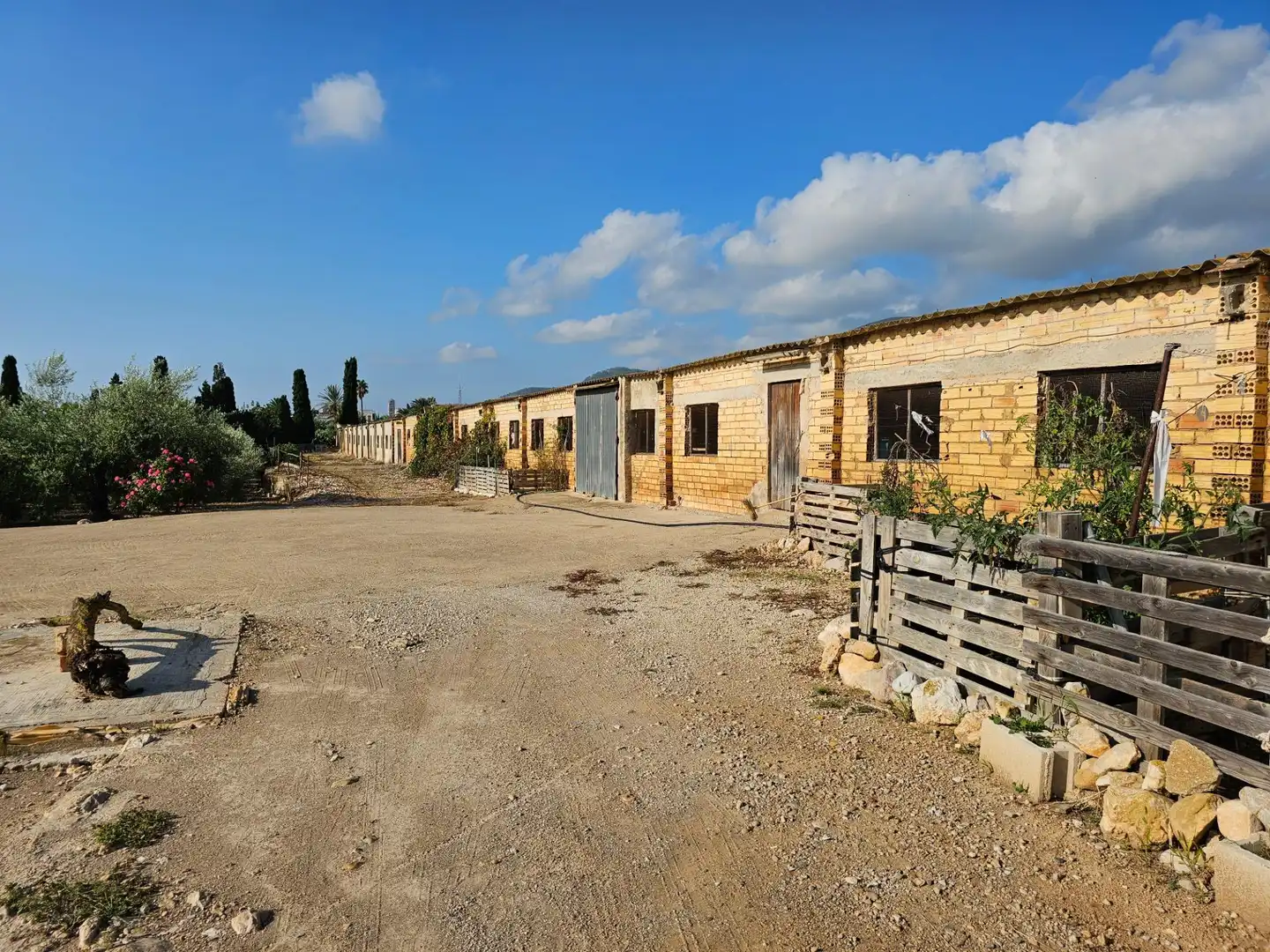 Country house for sale in Alcanar, imagen 16