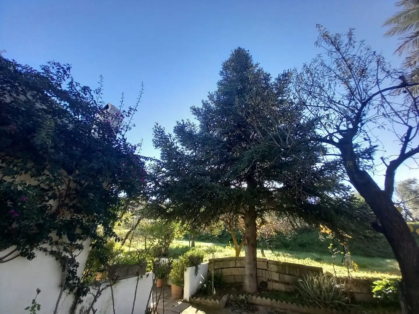 Finca rústica en venda a Partidas Norte
