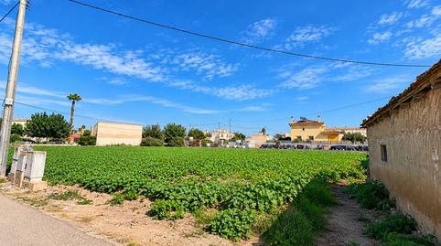 Foto 5 de Casa o xalet en venda a Carrer el Còssil, Crevillent, Alicante