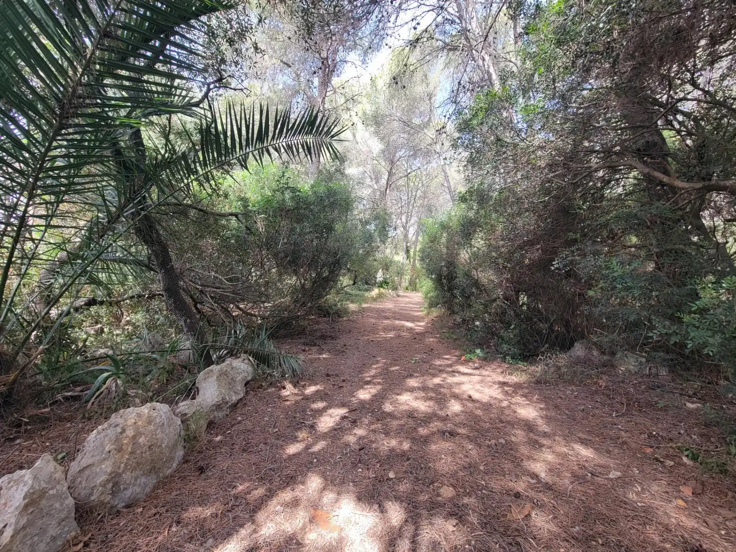 Residential for sale in El Catllar 