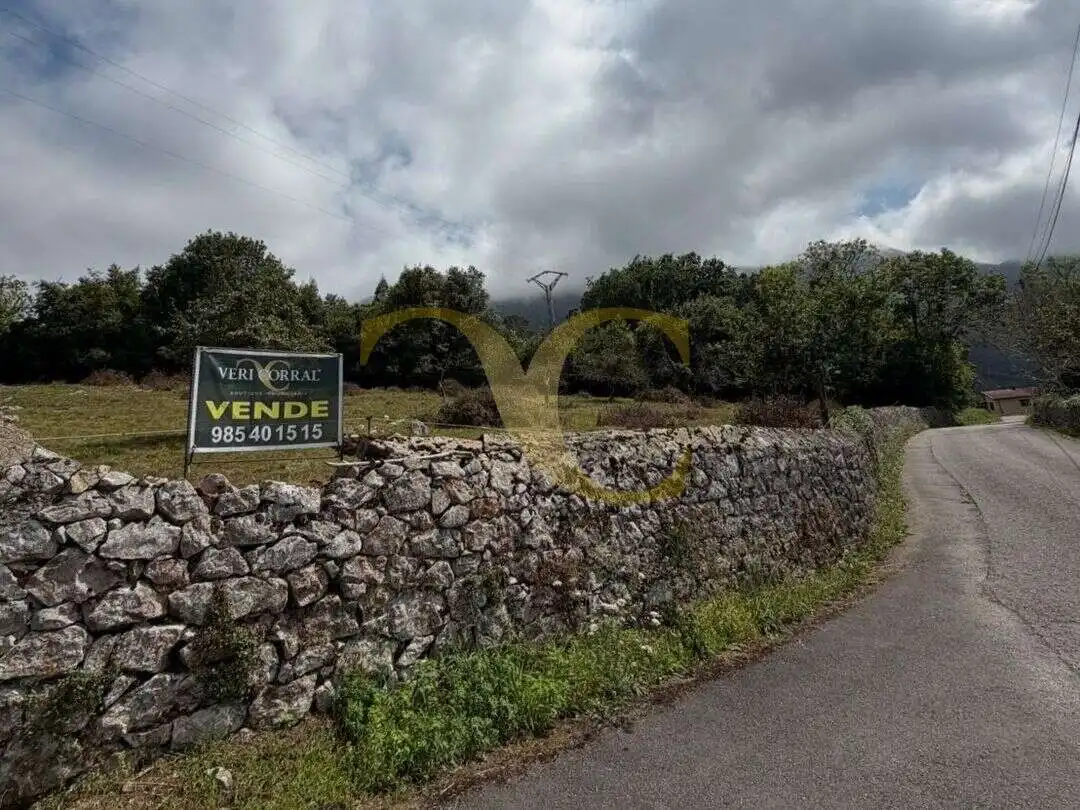 Land for sale in Llanes