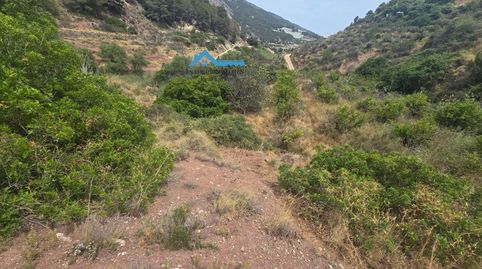 Foto 4 de Terreno en venta en Bolulla, Alicante