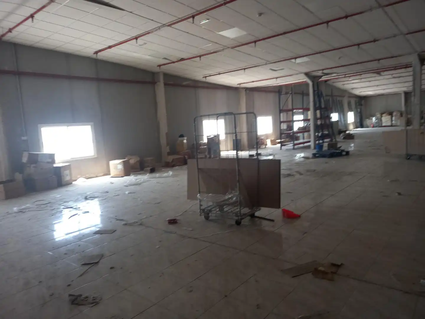 Industrial buildings for rent in Aspe