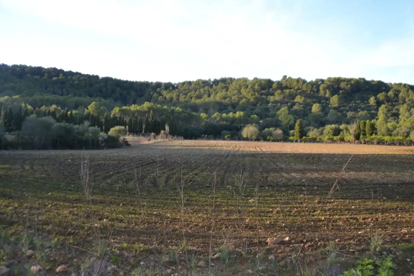 Maison rustique avec piscine à vendre à Sa Pobla, imagen 28