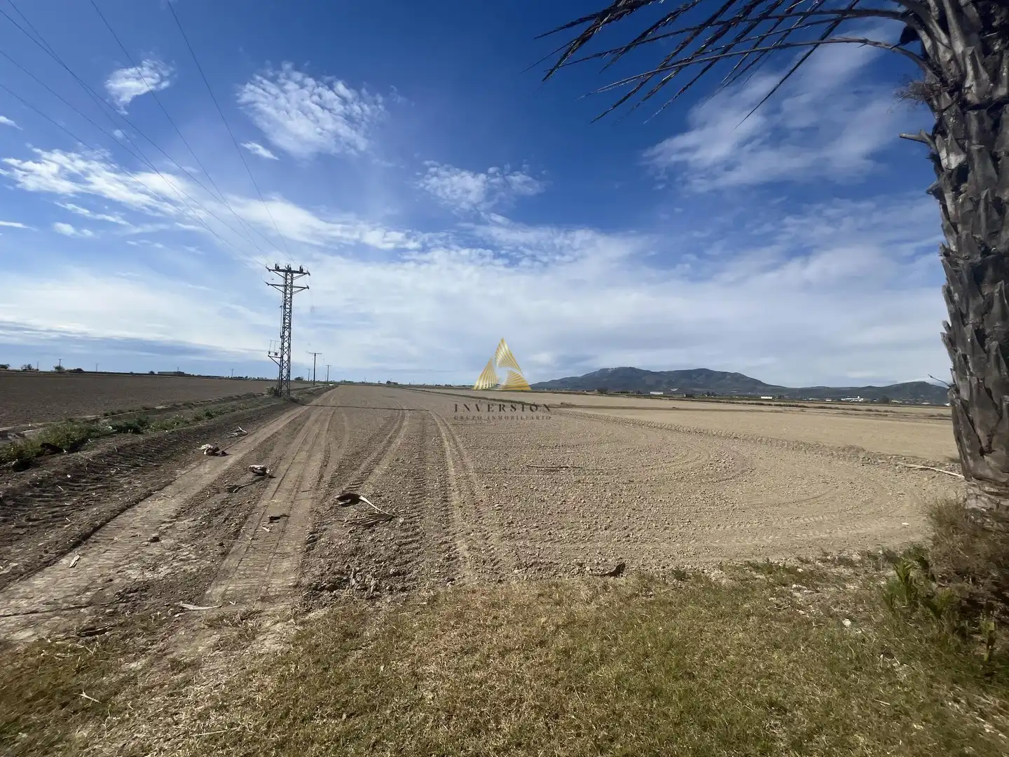 Detached house for sale in Eucaliptus- Poble Nou del Delta, imagen 38
