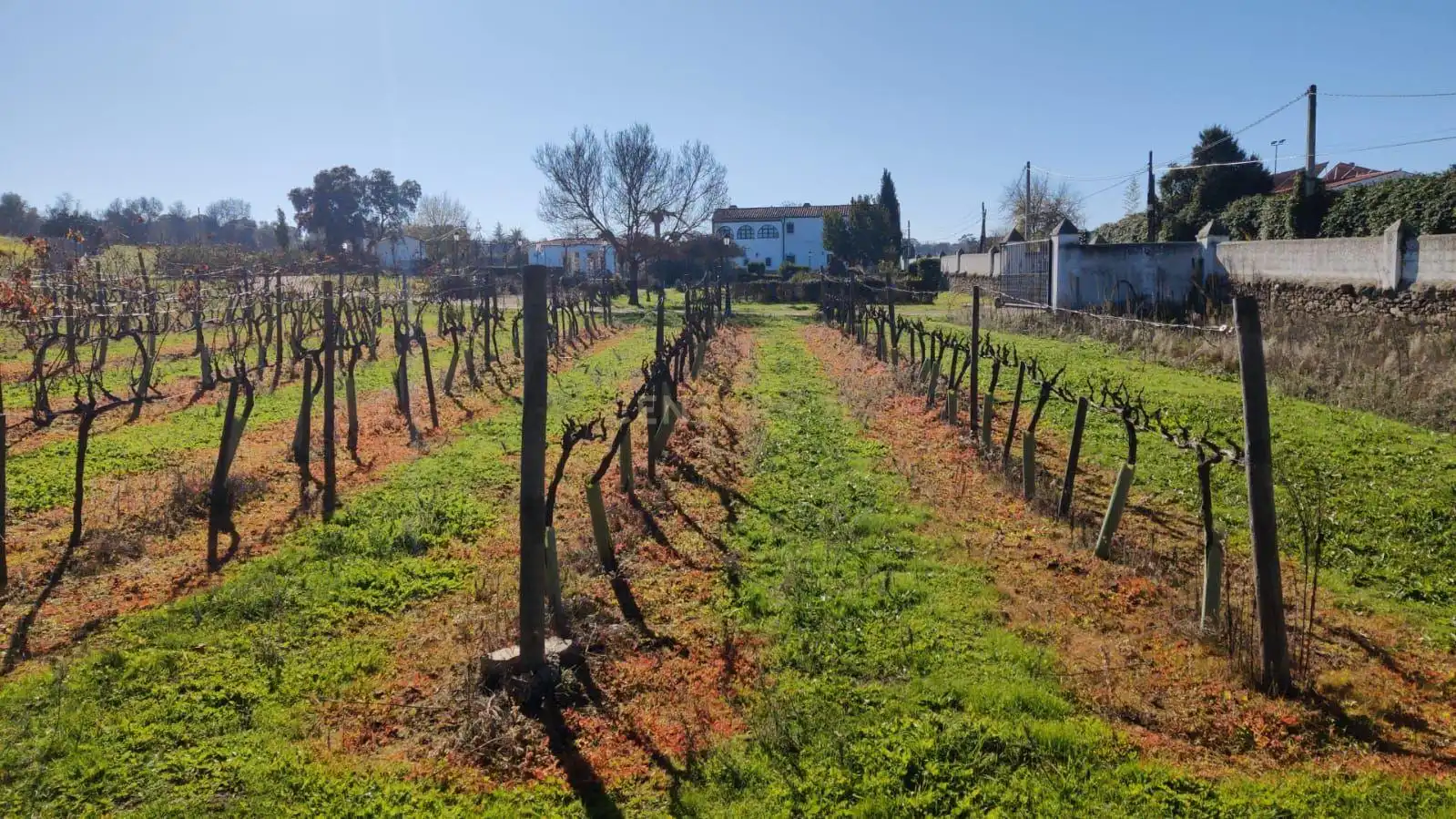 Casa o xalet en venda a FN VIÑAS MATACACERES (CÁCERES), -1, Ruta de la Plata
