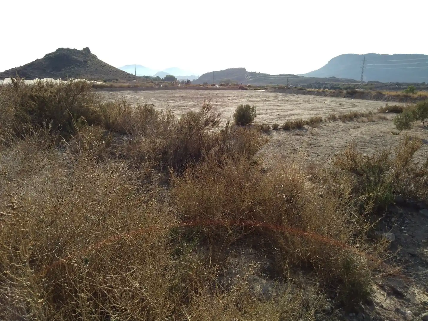 Terreny rústic en venda a Agost, imagen 11