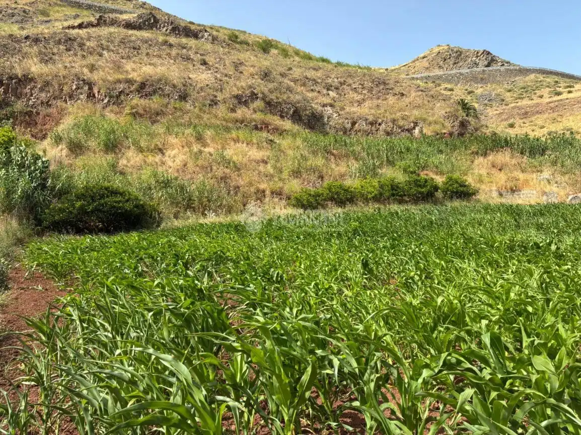 Terreno en venta en Gáldar
