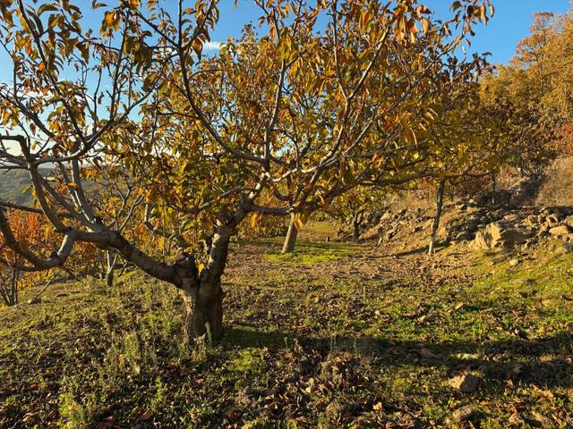 Terreno en Venta en Calle Duche, 46 en Arroyomolinos de la Vera