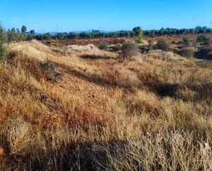 Terreny en venda en Navalvillar de Pela