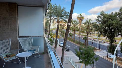 Photo 4 of Apartment to rent in Gabriel Roca, El Terreno, Illes Balears