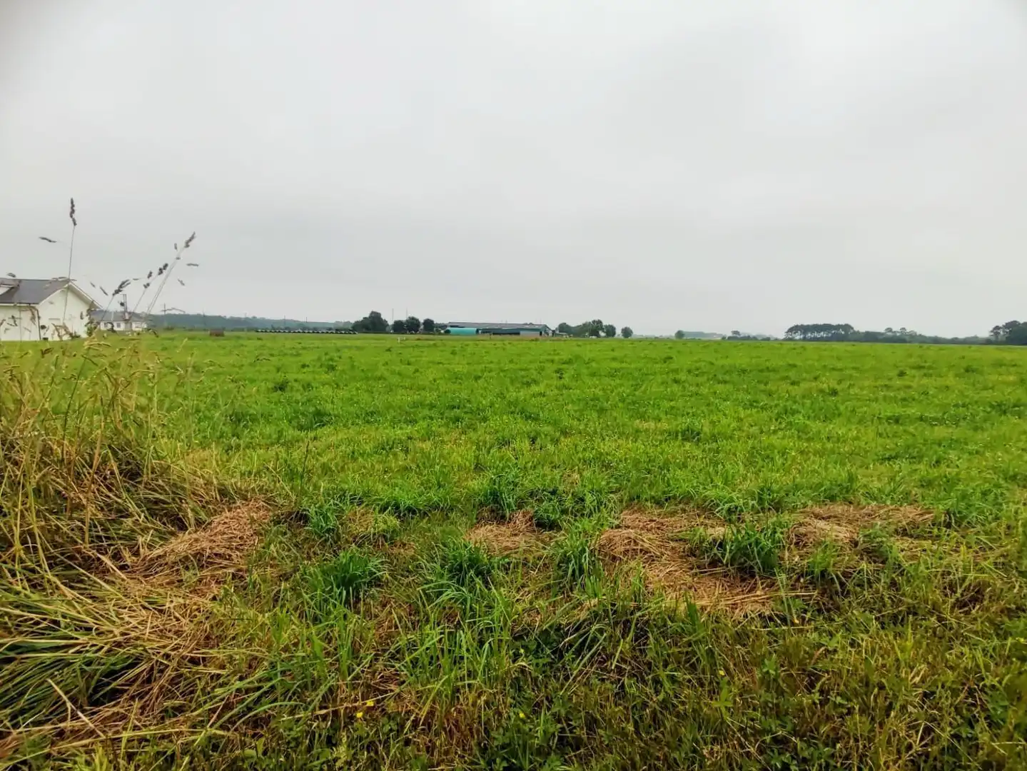 Residential land for sale in Lugar Brul, imagen 9
