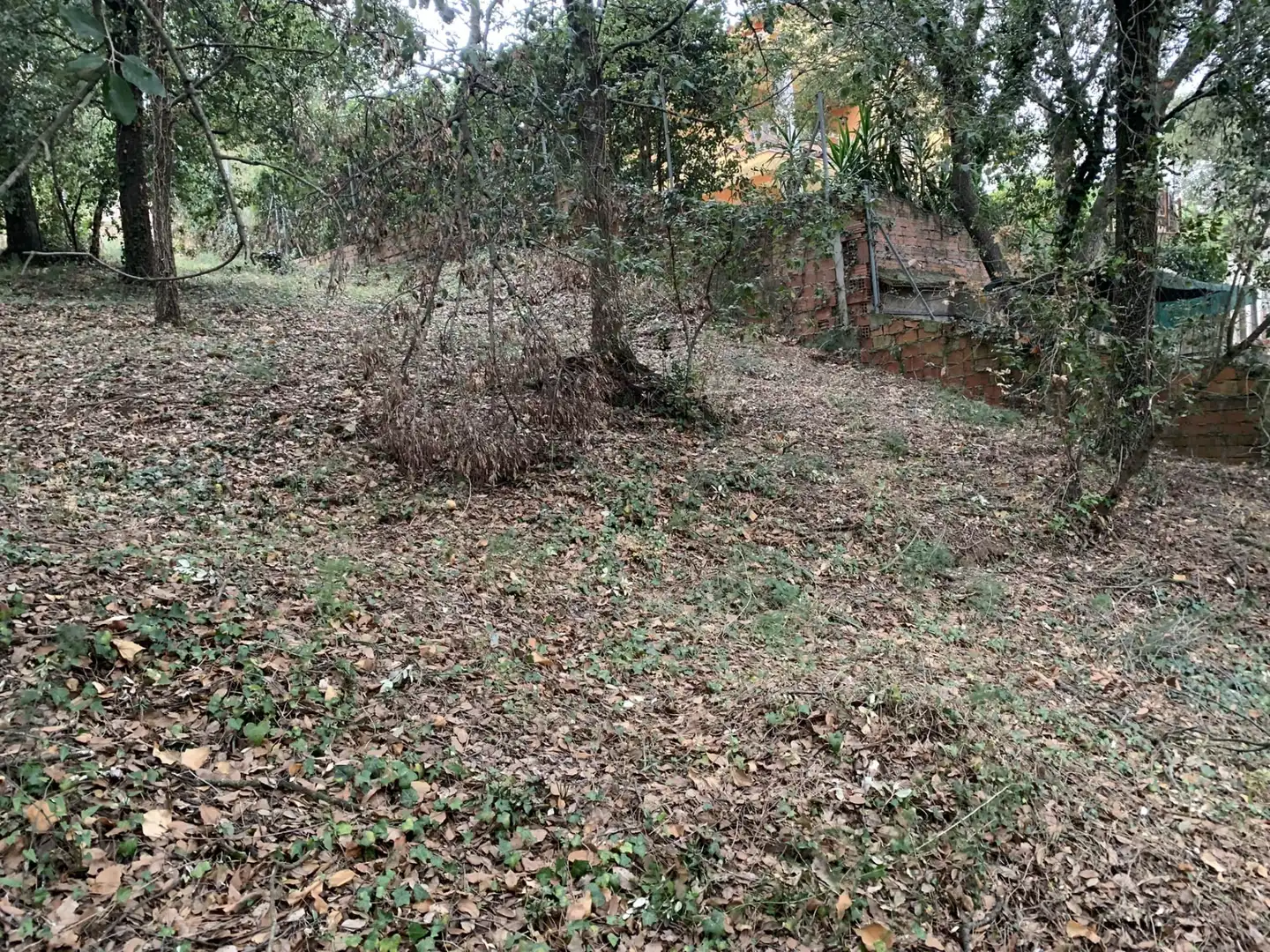 Terreno residencial en venta en Carrer Castelló 3, imagen 15