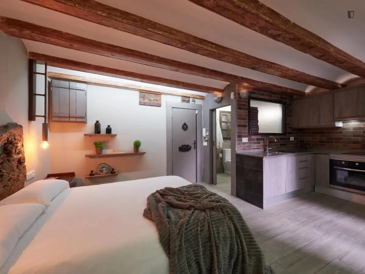 Estudio de alquiler en El Raval