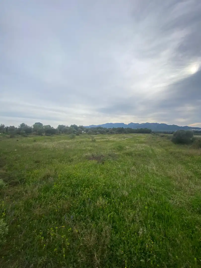 Lands and plots for sale in Ginestar, imagen 2