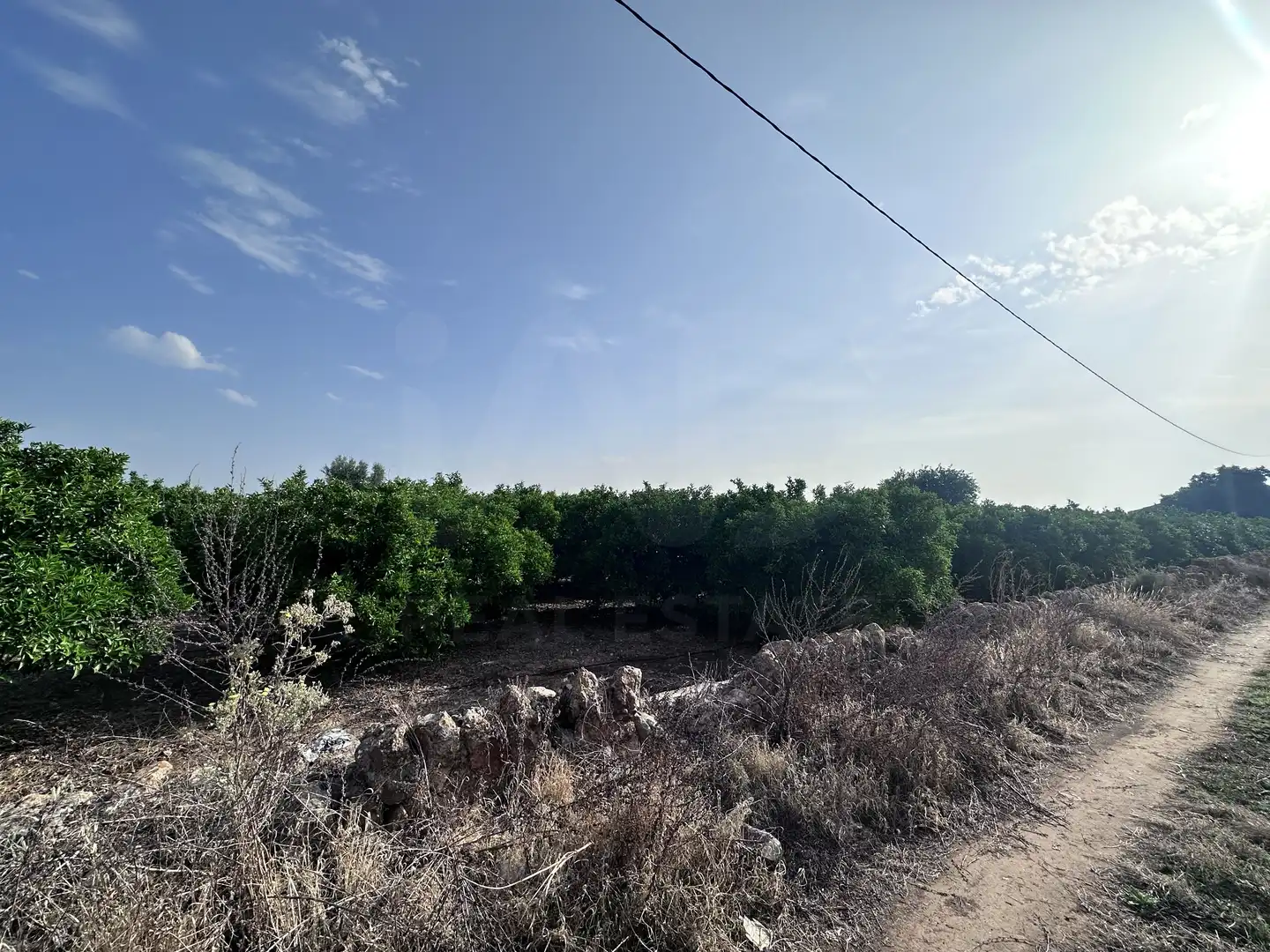 Terreno rustico in vendita a Pego, imagen 3