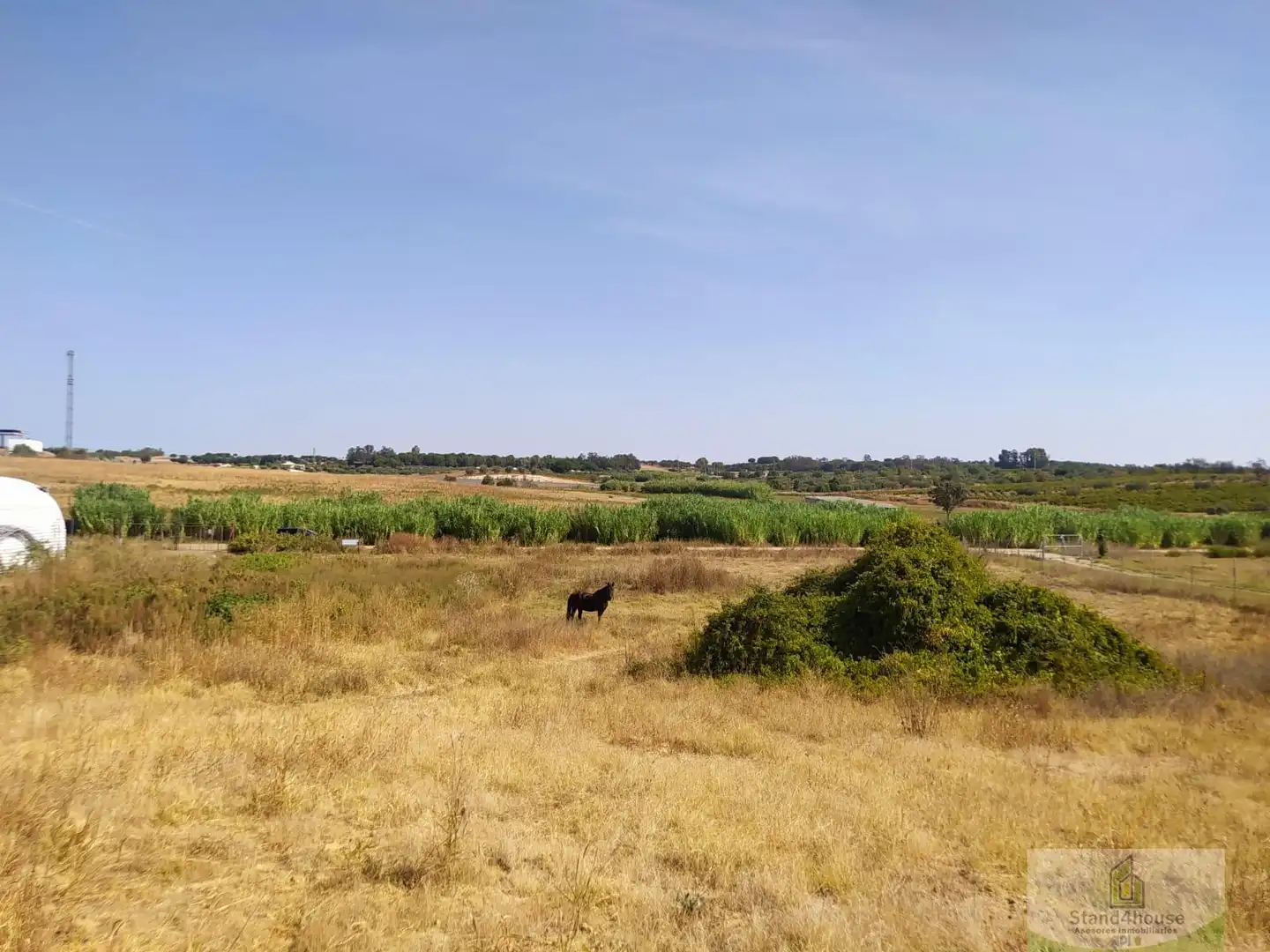 Finca rústica en venda a Villarrasa