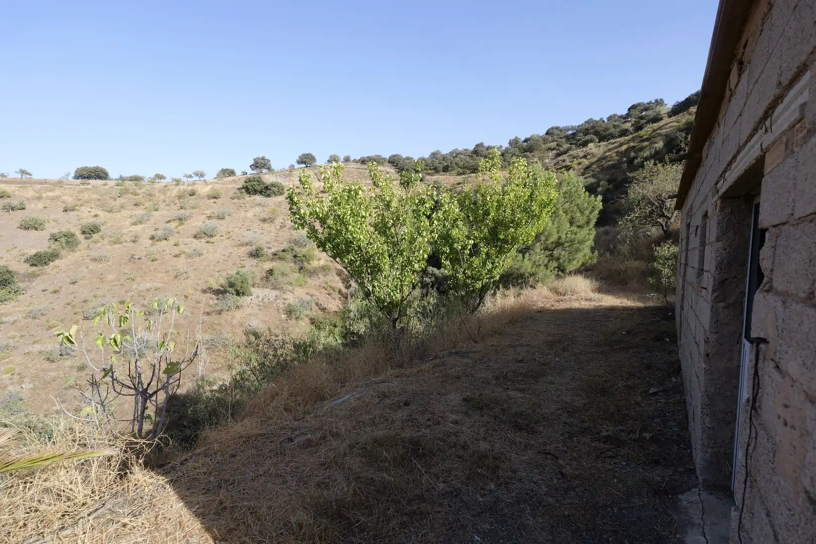 Finca rústica en venta en Cádiar