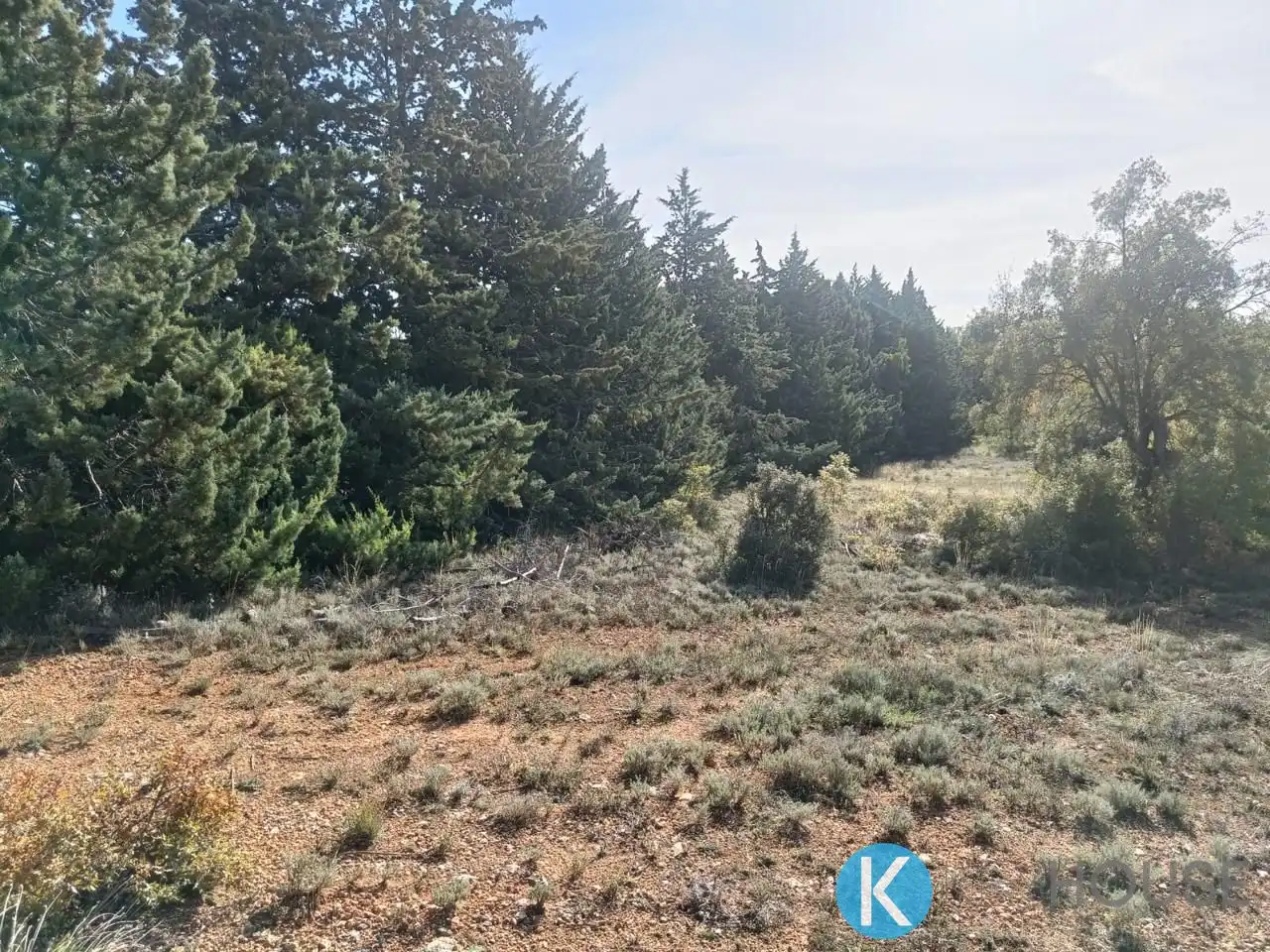 Land for sale in Pastrana
