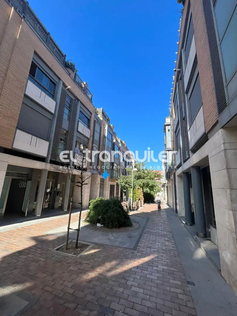 Wohnung zur Miete in Calle Doctor Mariani, Berruguete