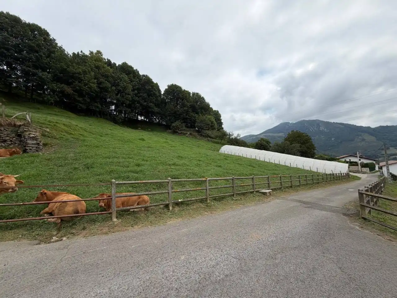 Exterior view of Houses for sale in Hernialde  with Private garden, Terrace and Furnished