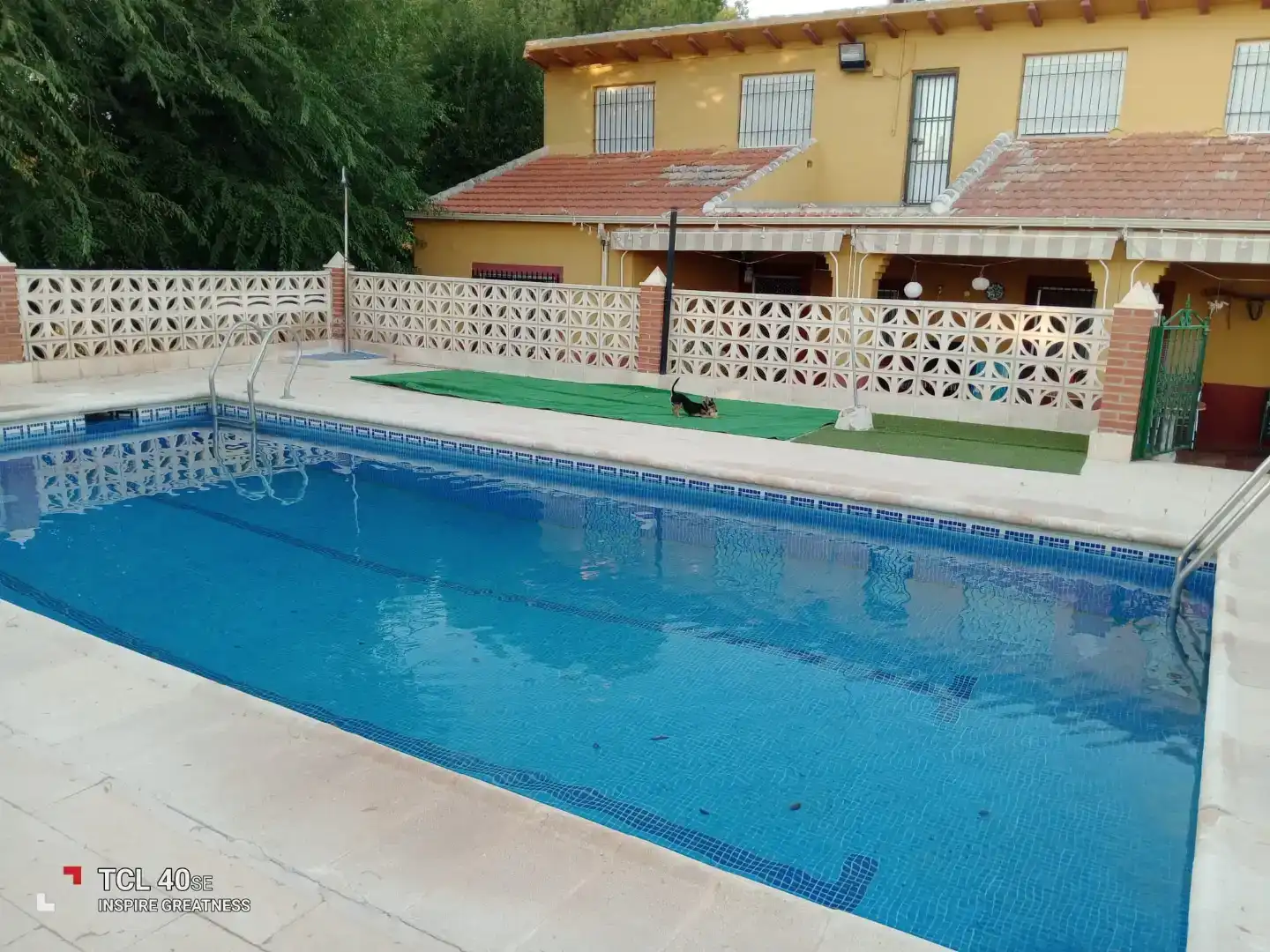 Piscina de Casa o xalet en venda en Membrilla amb Aire condicionat, Jardí privat i Parquet