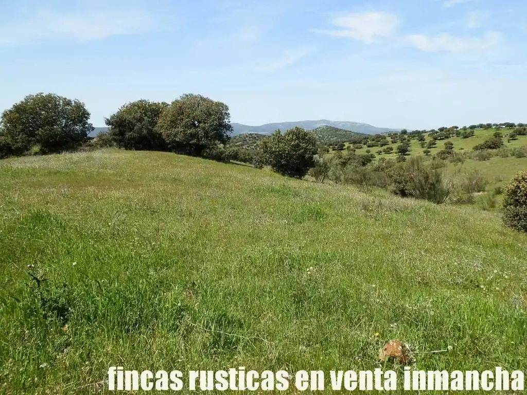 Rural land for sale in Calzada de Calatrava, imagen 2