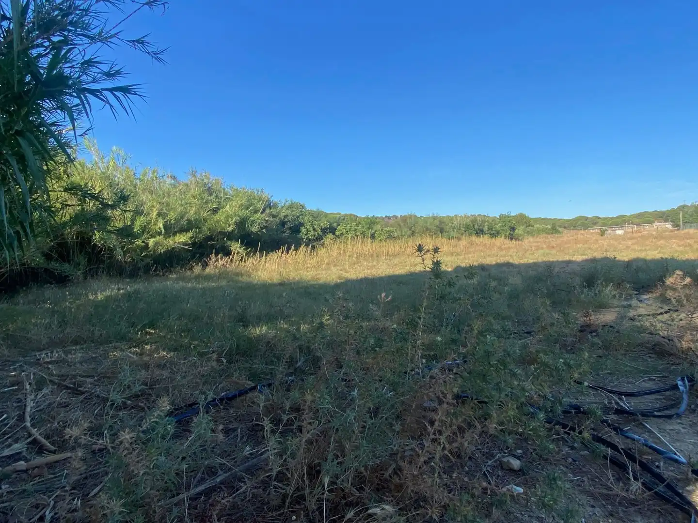 Terreny rústic en venda a Núcleo urbano, imagen 18